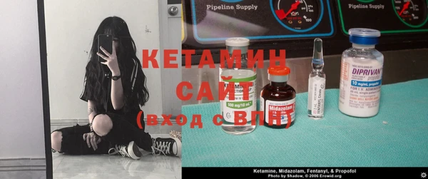 ПСИЛОЦИБИНОВЫЕ ГРИБЫ Михайлов