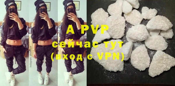 соль ск Белокуриха