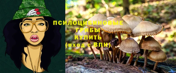 тгк Баксан
