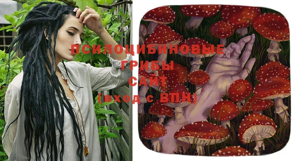 ГАЛЛЮЦИНОГЕННЫЕ ГРИБЫ Михайловка